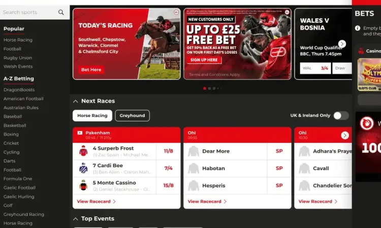 DragonBet - 50% Return Of Any Day One Losses